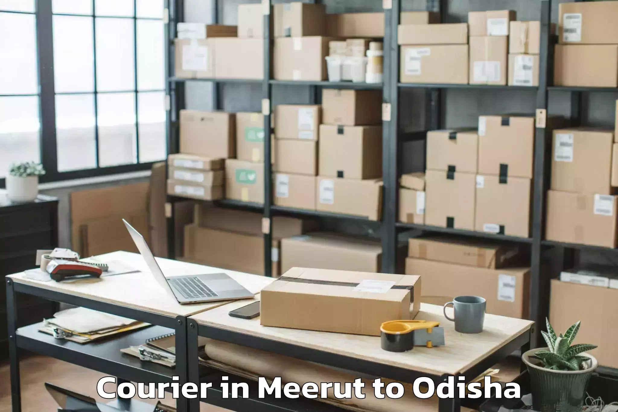 Discover Meerut to Loisingha Courier